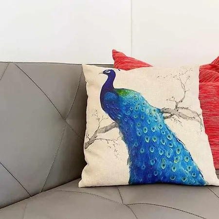 Rocha Studio 波尔蒂芒